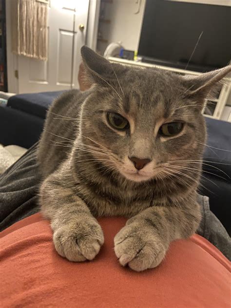 stinky_kitty OnlyFans Leaks 2025