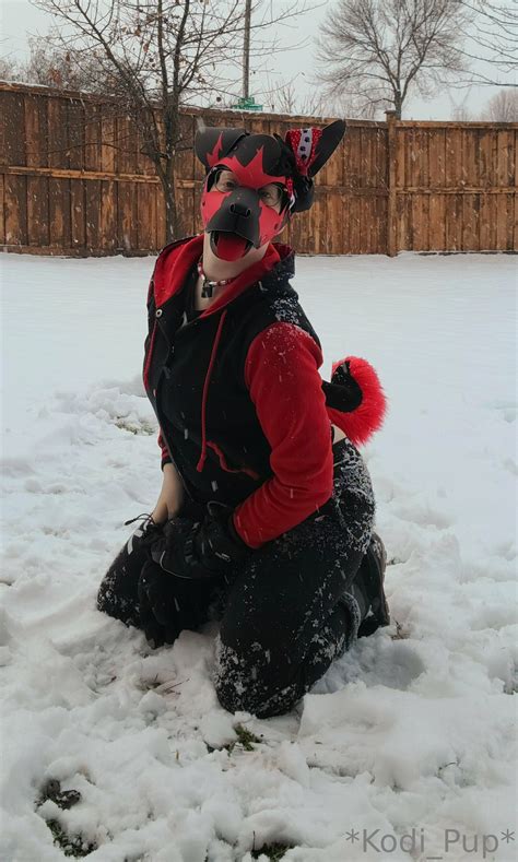 kodi_pup OnlyFans Leaks 2025
