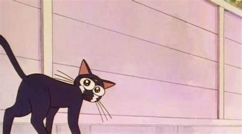 vixxshi OnlyFans Leaks 2025