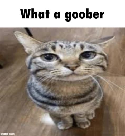 a-goober Fansly Leaks 2025