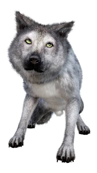 DatLewdWolfy Fansly Leaks 2025