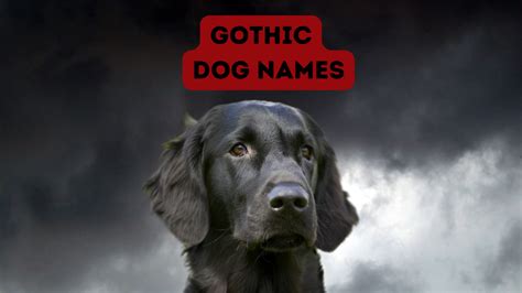 gothdog OnlyFans Leaks 2025
