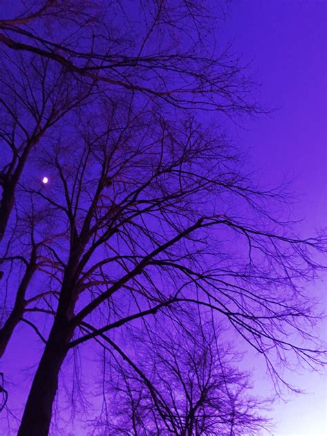 purplepisces82 OnlyFans Leaks 2025