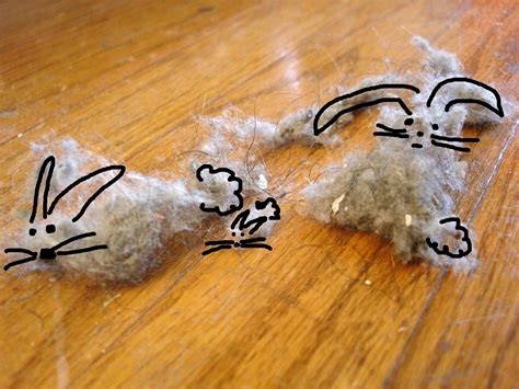 dust.bunny.69 OnlyFans Leaks 2025