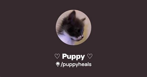 bugpuppy OnlyFans Leaks 2025