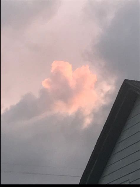 tinyrealmoth OnlyFans Leaks 2025