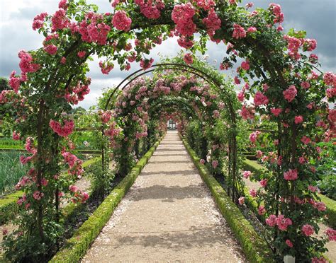my_garden_of_roses OnlyFans Leaks 2025