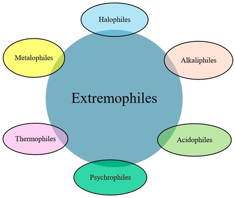 extremophiles OnlyFans Leaks 2025