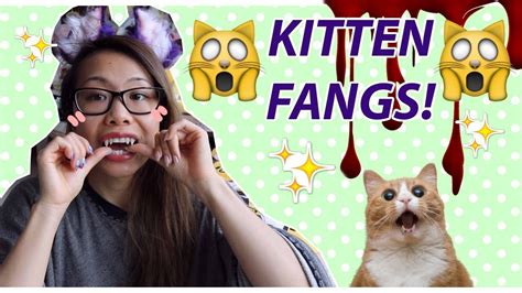 kittenwithfangs OnlyFans Leaks 2025