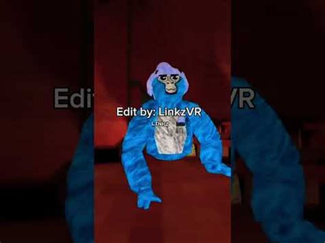 LinkzVR Fansly Leaks 2025