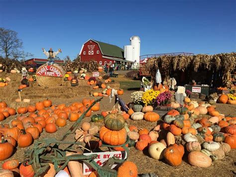 pumpkinpatchof OnlyFans Leaks 2025