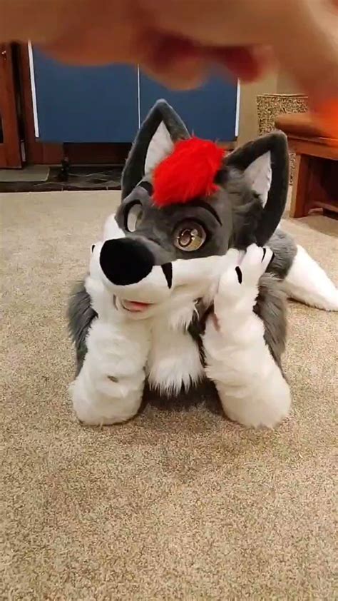 dalitefur OnlyFans Leaks 2025