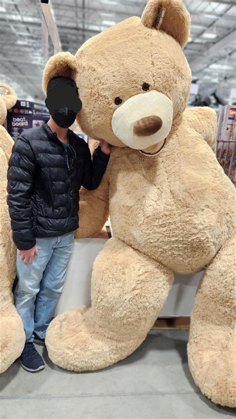 tallteddyvibes OnlyFans Leaks 2025