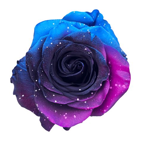 galaxy-rose OnlyFans Leaks 2025
