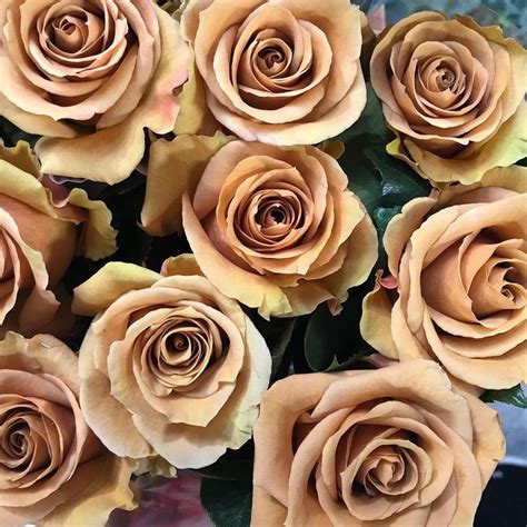 caramel.rose OnlyFans Leaks 2025