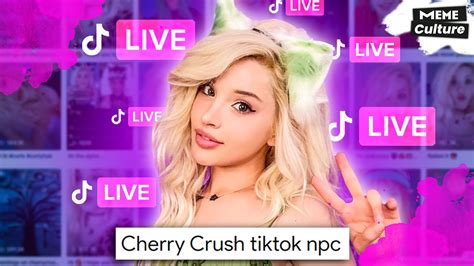 chxrryxb OnlyFans Leaks 2025