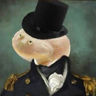 doni_d Fansly Leaks 2025
