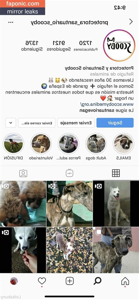 lolabuny18 OnlyFans Leaks 2025