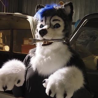 gravitystormhusky OnlyFans Leaks 2025